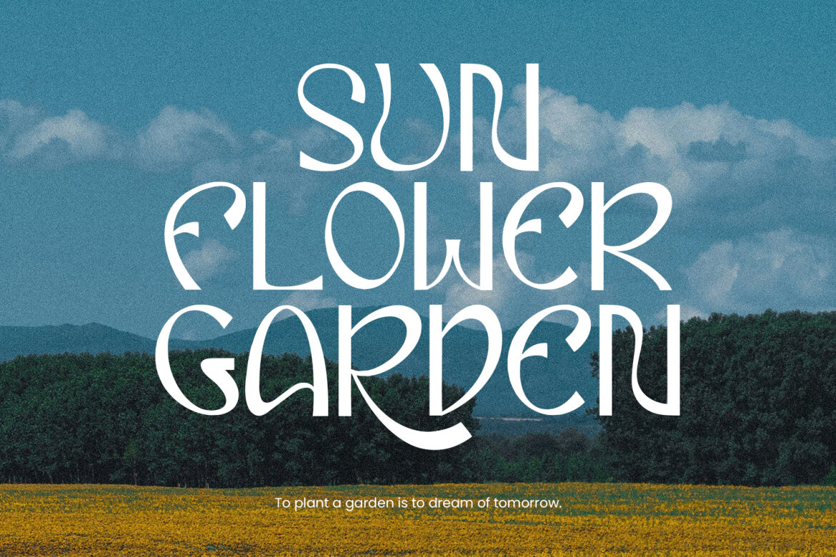 Eiclare Decorative FREE Display Font - view 4