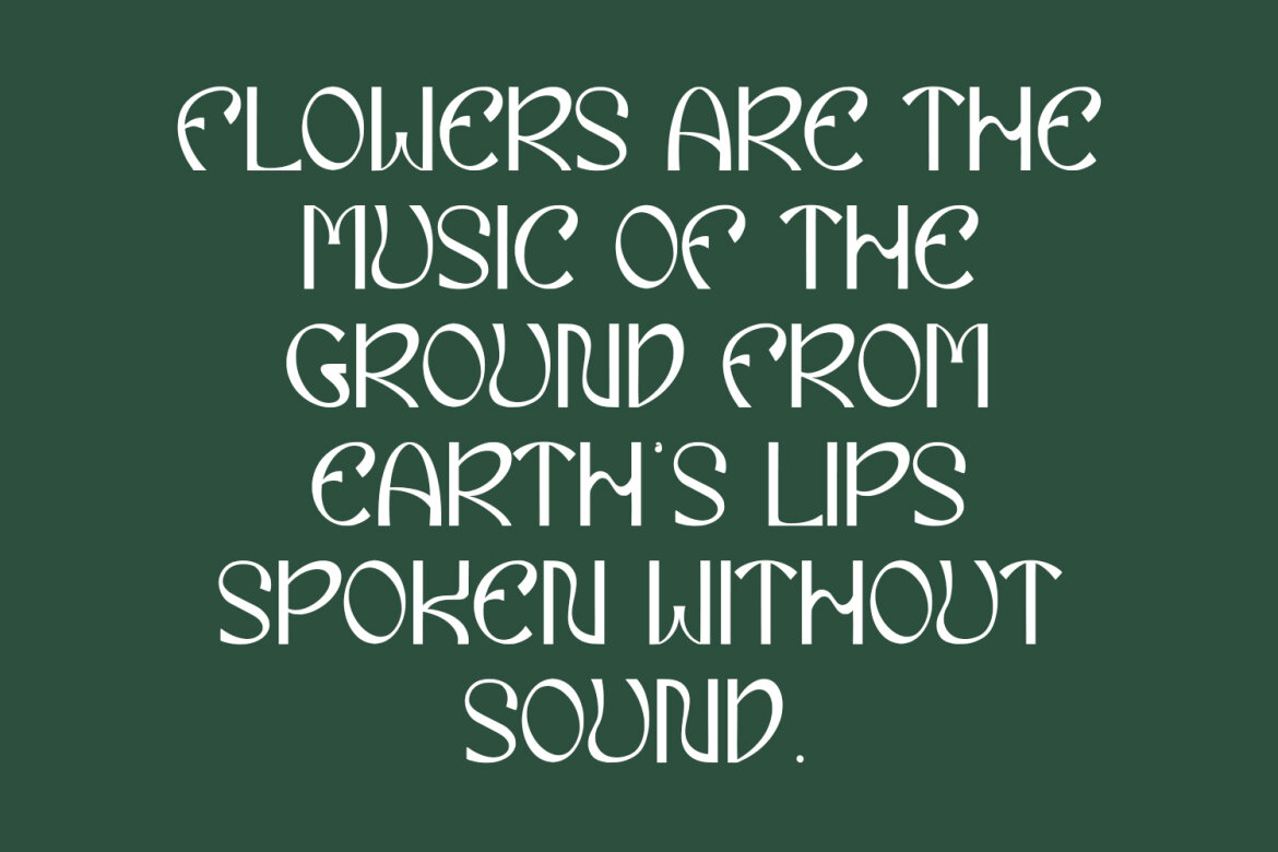 Eiclare Decorative FREE Display Font - view 6