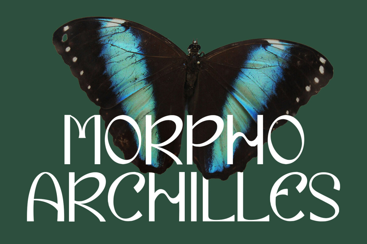 Eiclare Decorative FREE Display Font alternate