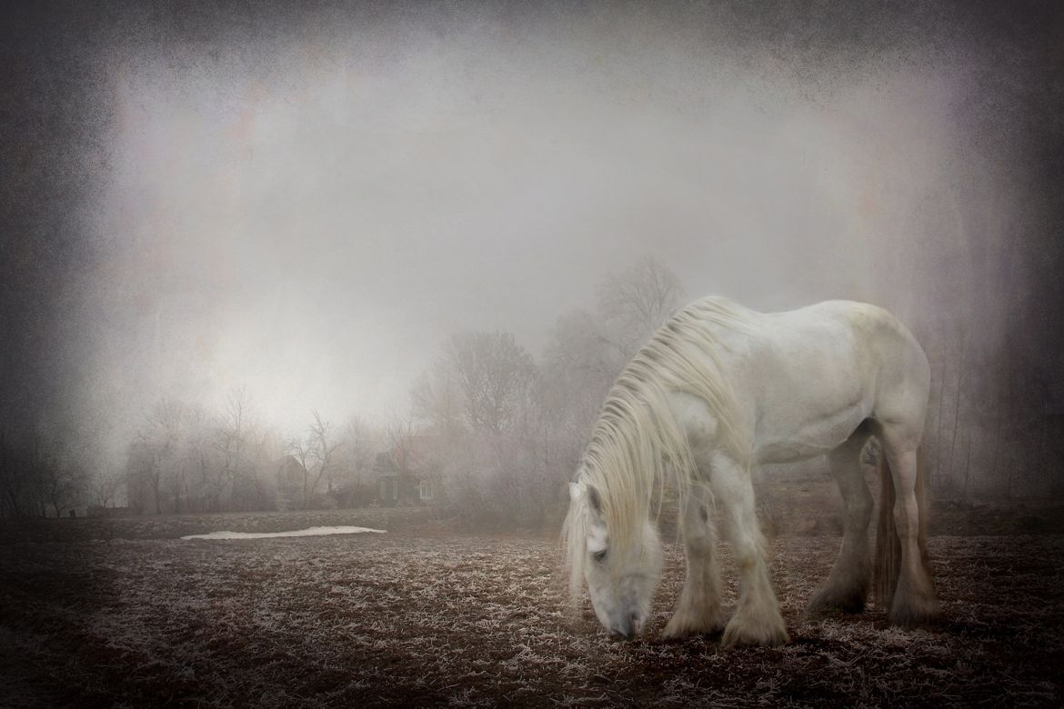 20 Grainy Vignettes Photo Overlays alternate