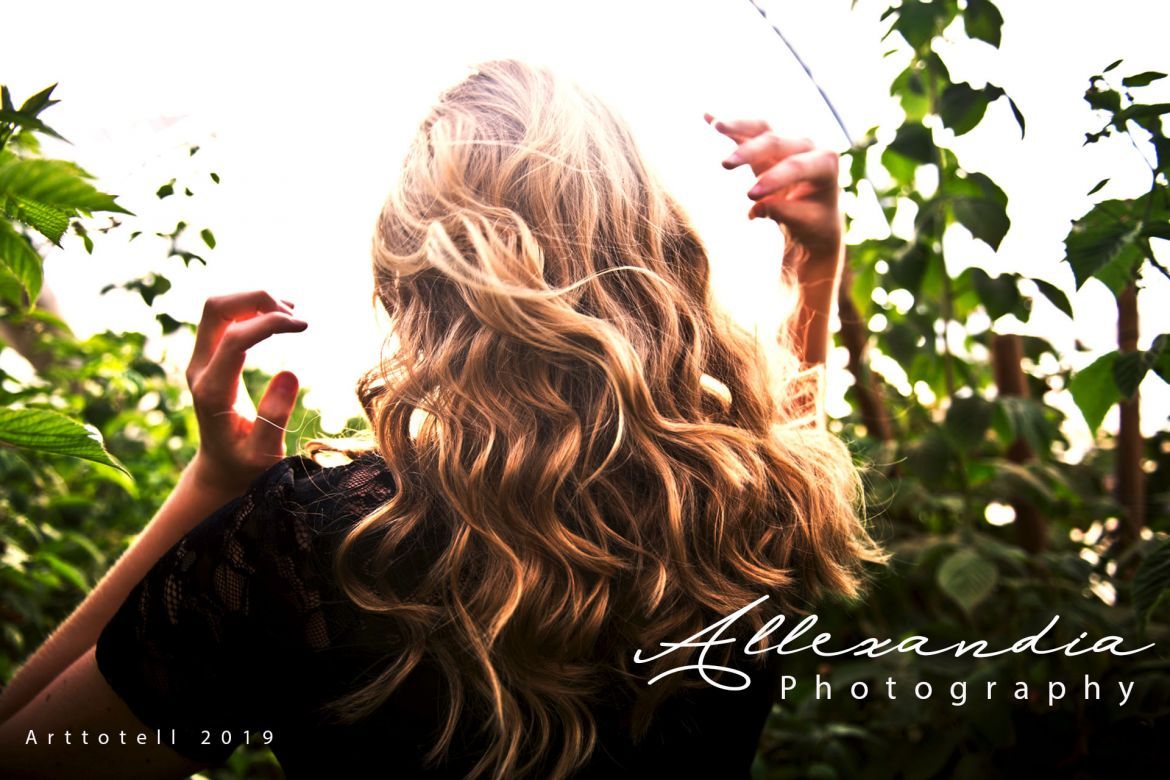 Allexandia Script - view 2