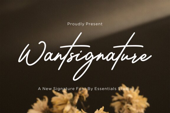 Wantsignature FREE Font