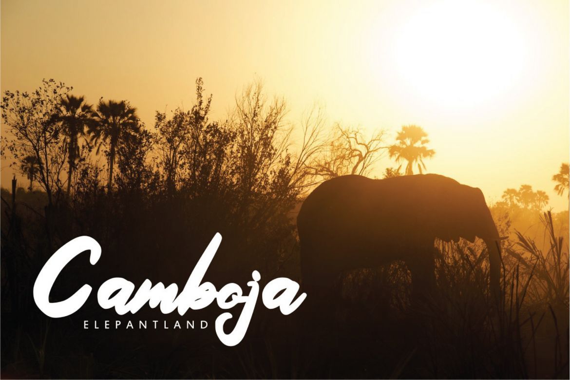 Savana - Script Bold Font - view 4