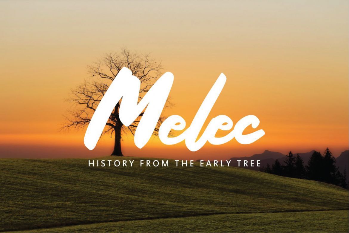 Savana - Script Bold Font - view 5