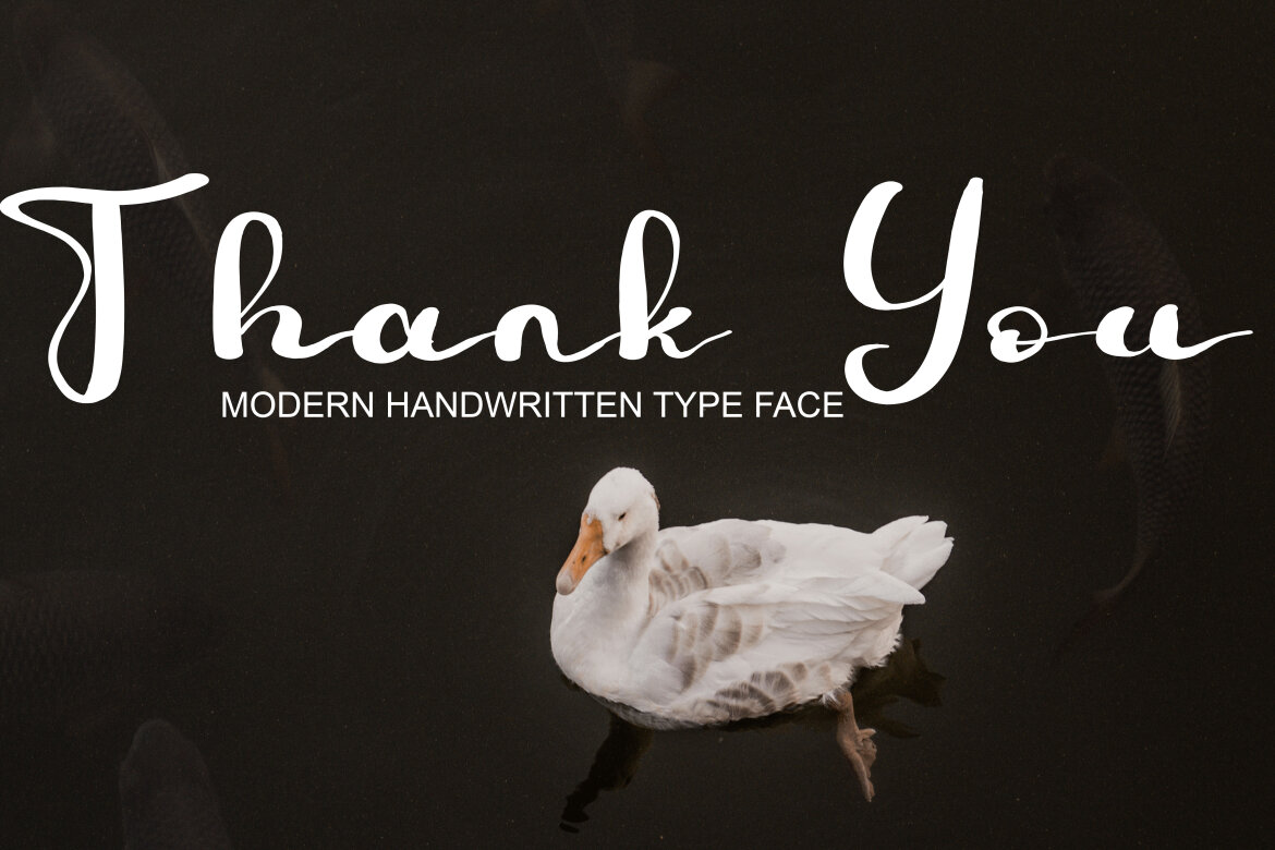 Anchak Free Script - view 4