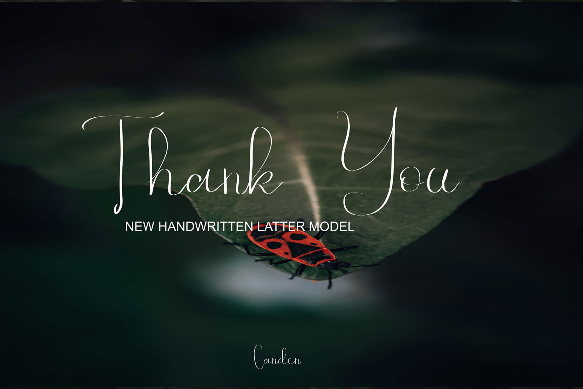 Aldenia Adnan Free Script - view 8