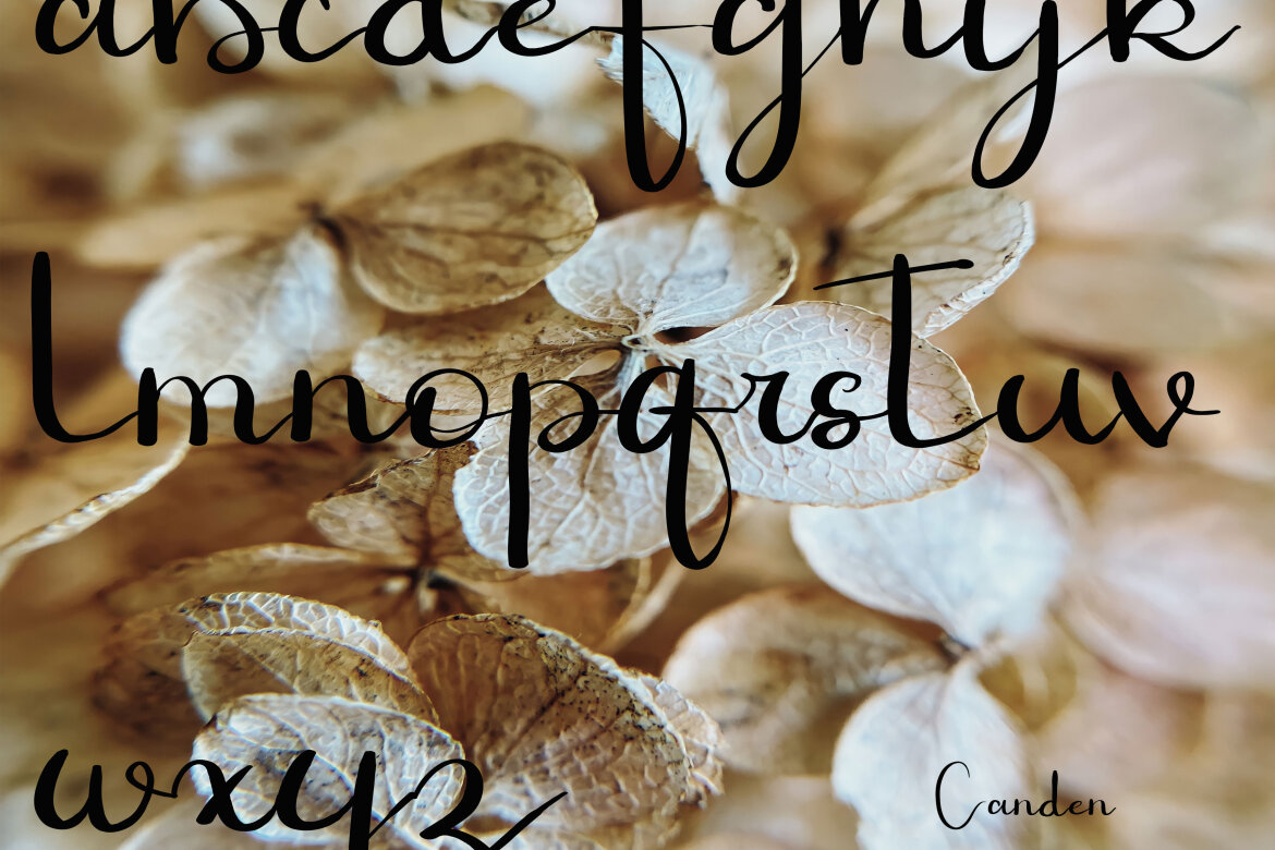 AKHUNTA JUANCIA Free Script - view 7