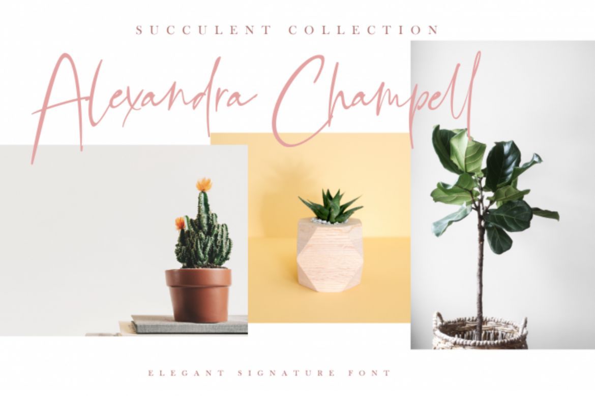 Bellandha Singnature - view 2