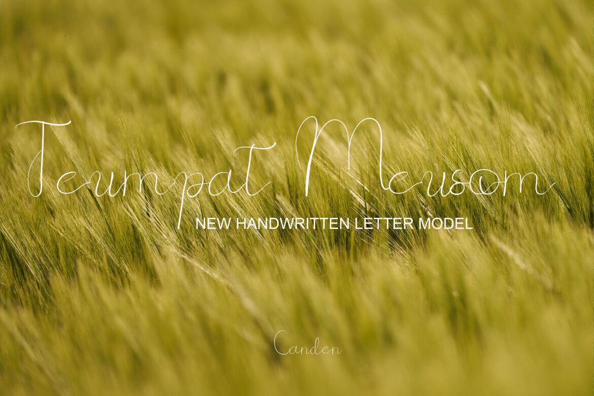 Boh Manok Weng - view 5