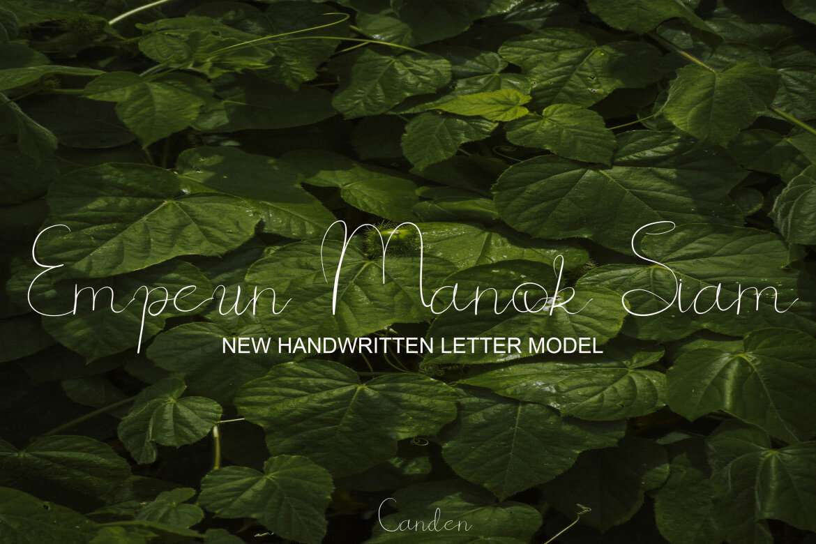 Boh Manok Weng - view 3