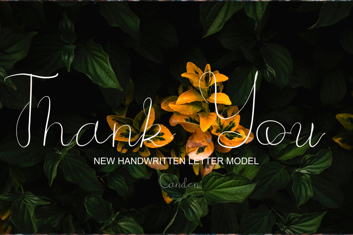 Boh Manok Weng - view 8