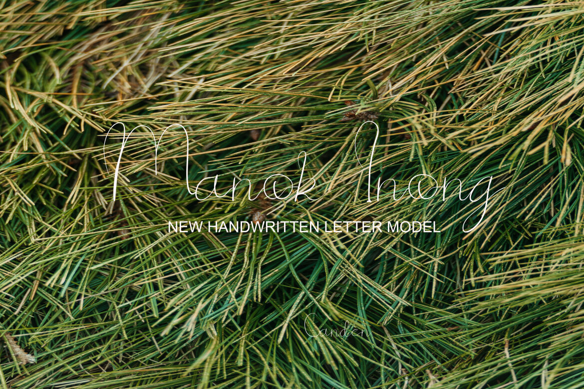 Boh Manok Weng - view 4