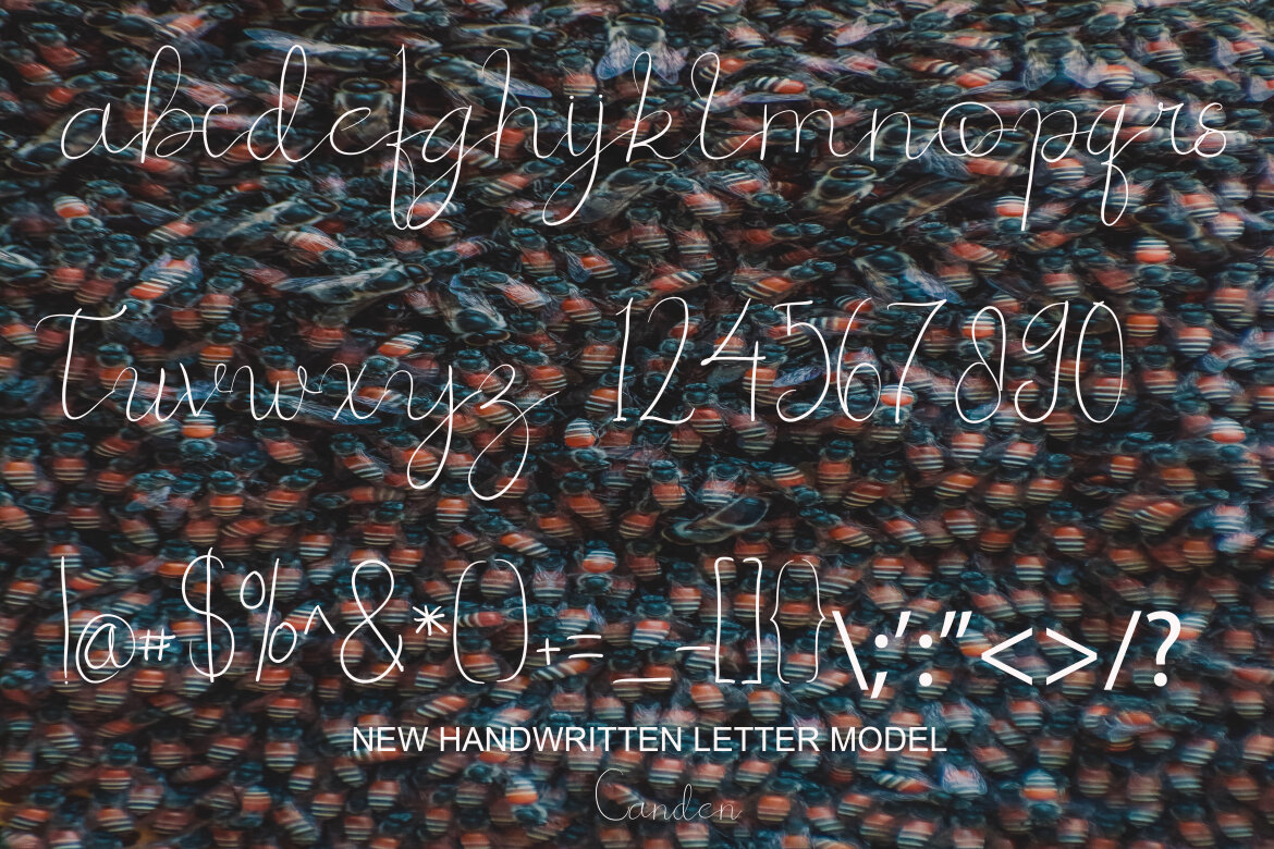 Boh Manok Weng - view 7