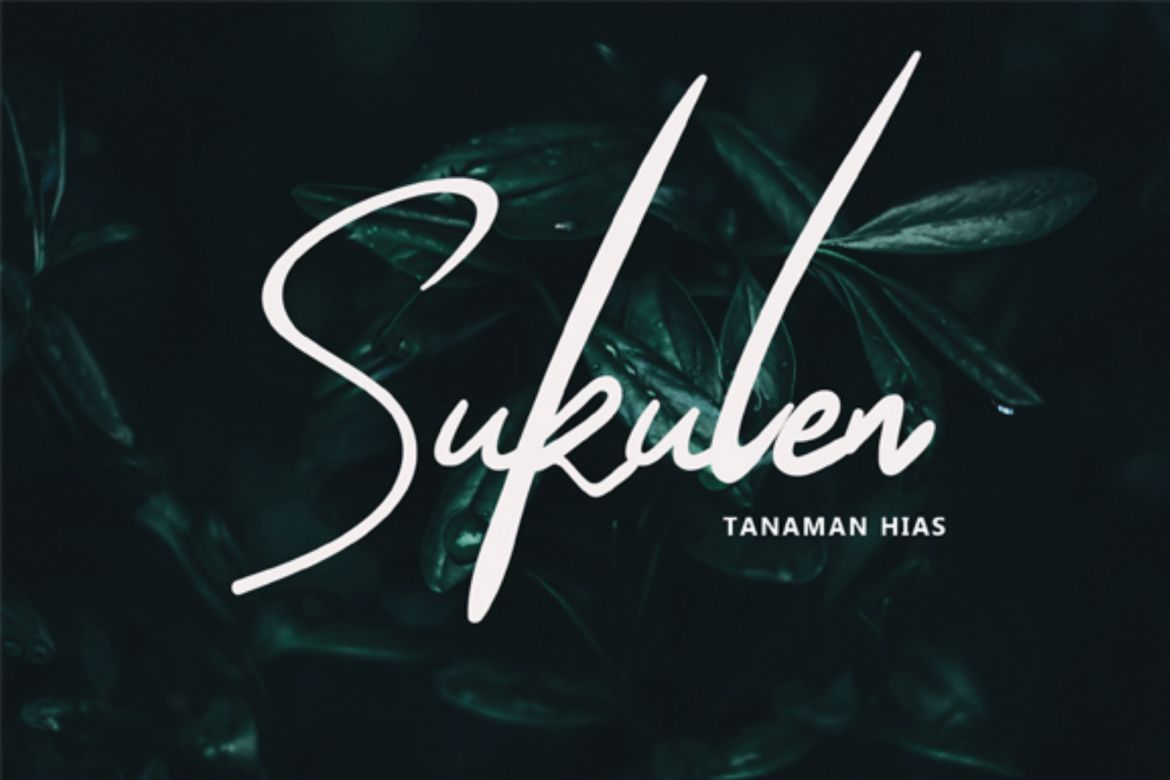 The Queenthine Script - view 3