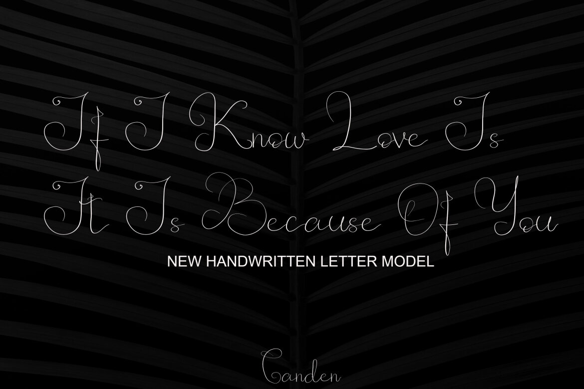 FANTA AHDYA - view 4