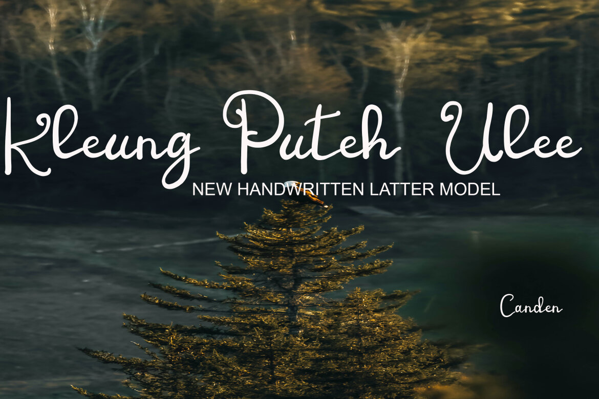 Gantengin Boy - view 5