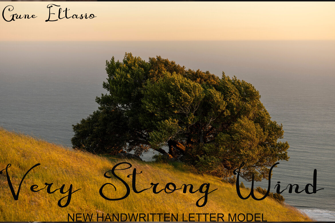 GUNE ELTASIO - view 5