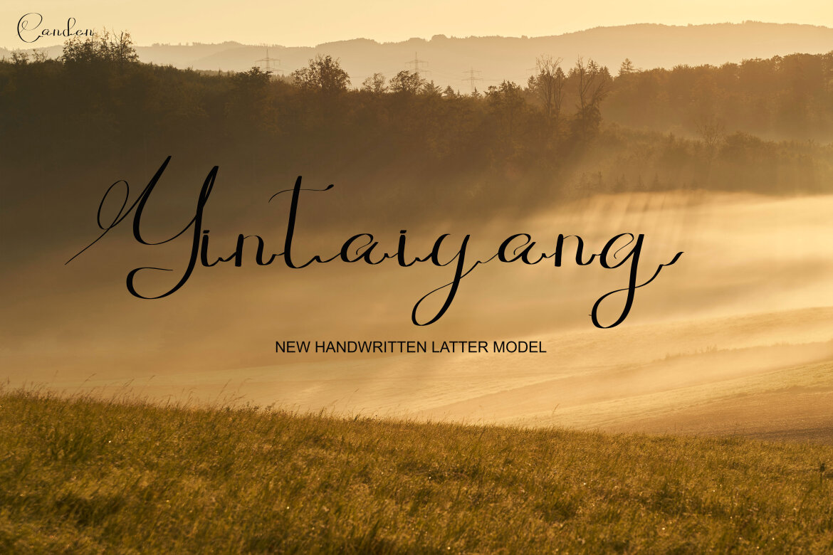 Gusty Fenti - view 3