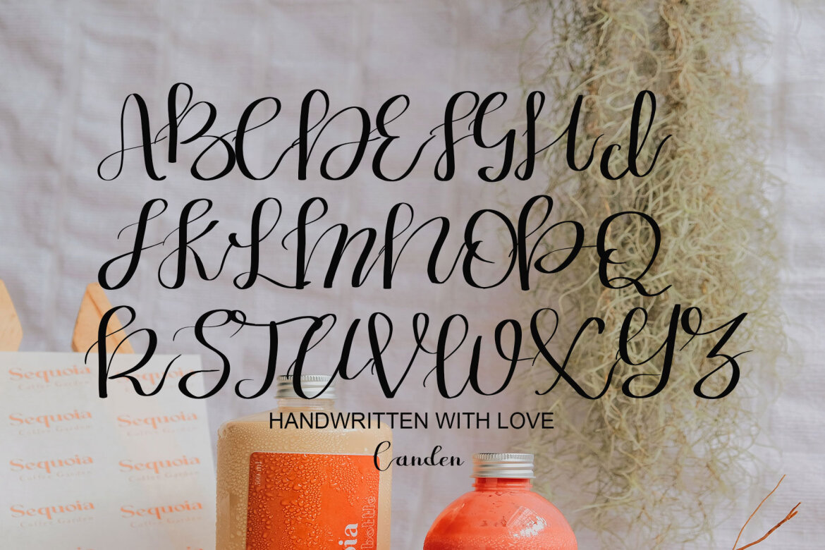 San Antonio - view 7