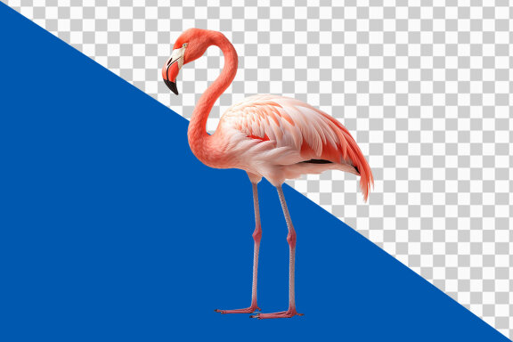 Pink flamingo on transparent background PNG image