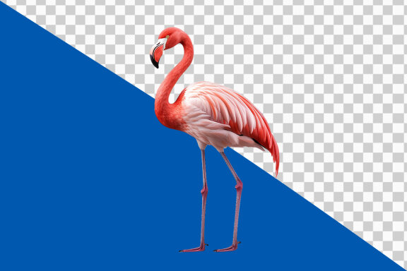Pink flamingo on transparent background PNG image