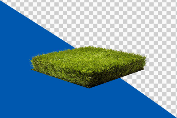 Green grass land on transparent background PNG image