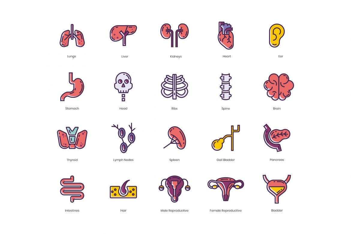 105 Medical Icons | Lilac - view 5
