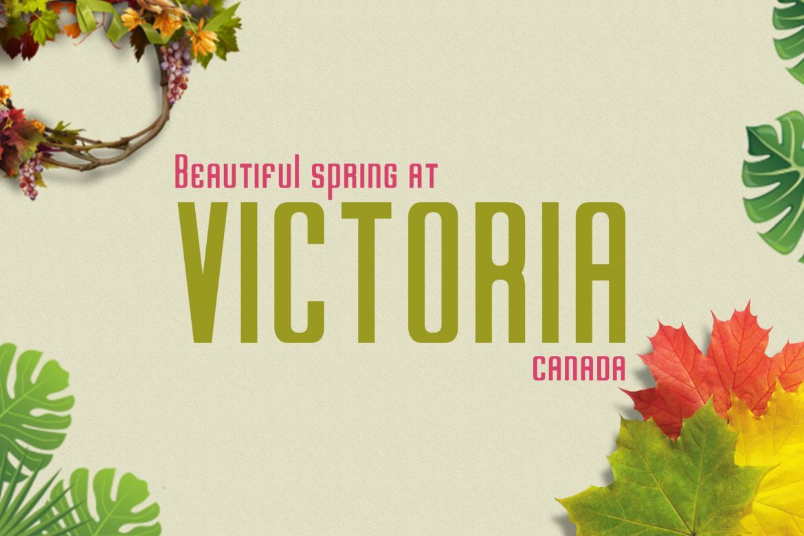 Neowave Sans Font alternate