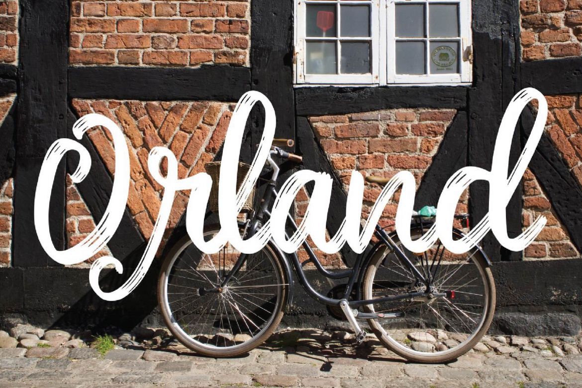 Denmark - Modern Brush Font Script - view 3