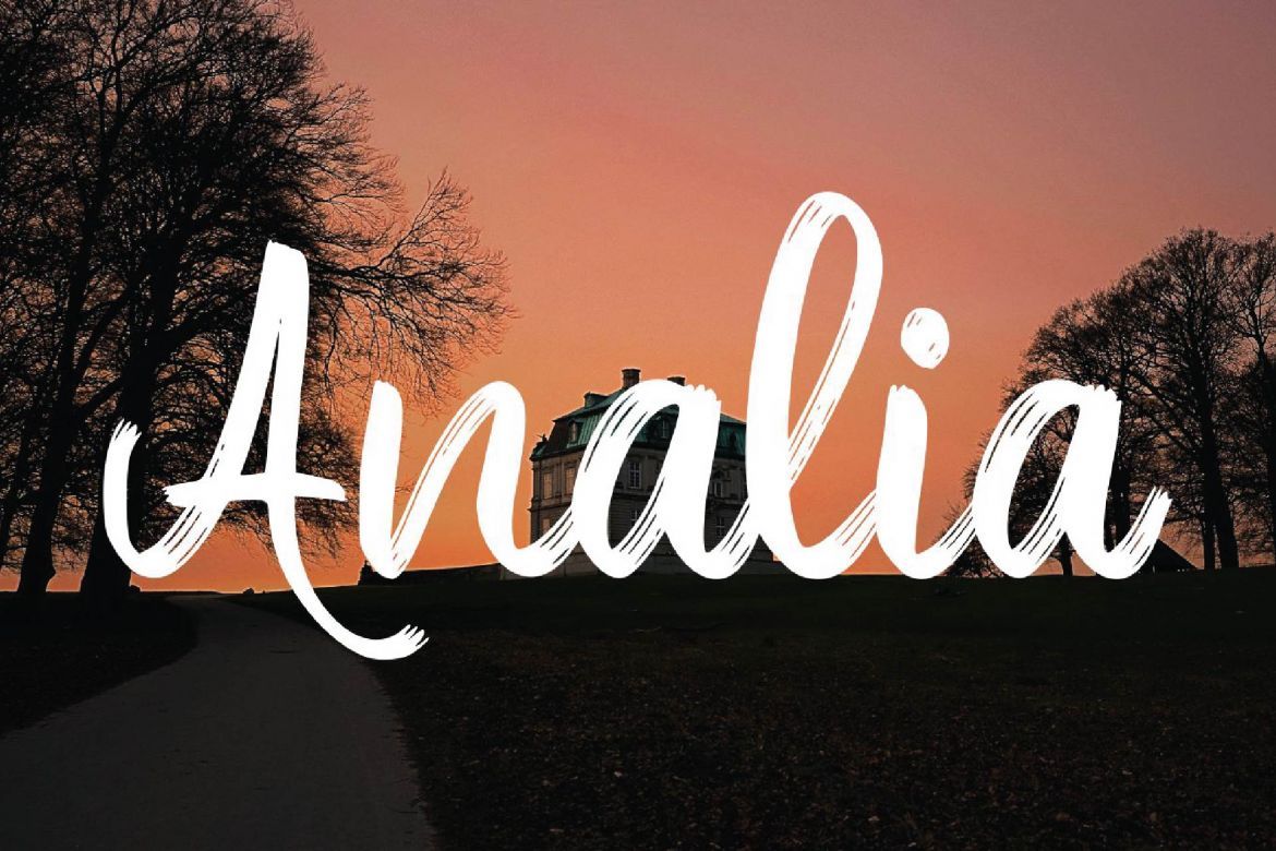 Denmark - Modern Brush Font Script - view 5