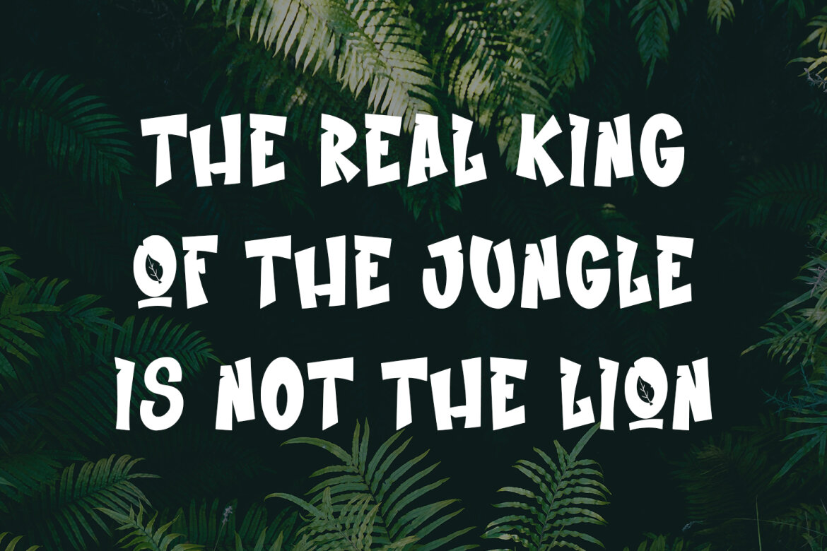 Jungle Fresh FREE Cartoon Display Font - view 5