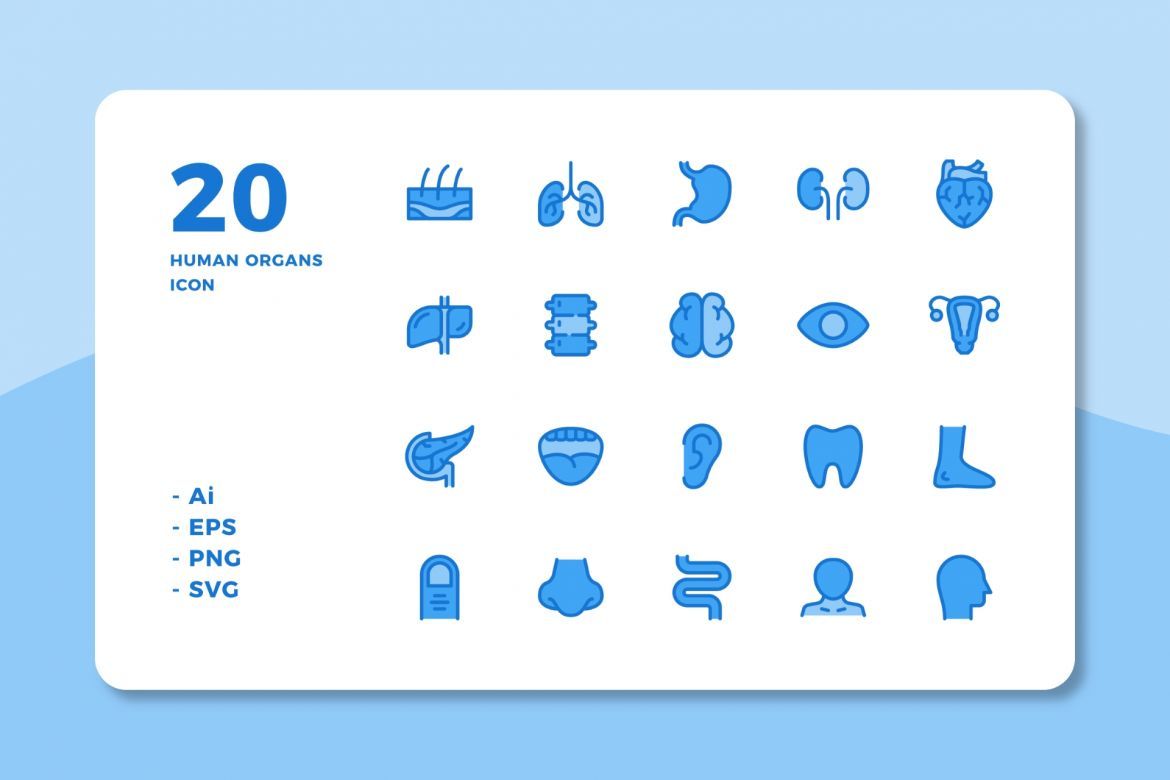 60 Human Organs Icons (3 Style) alternate