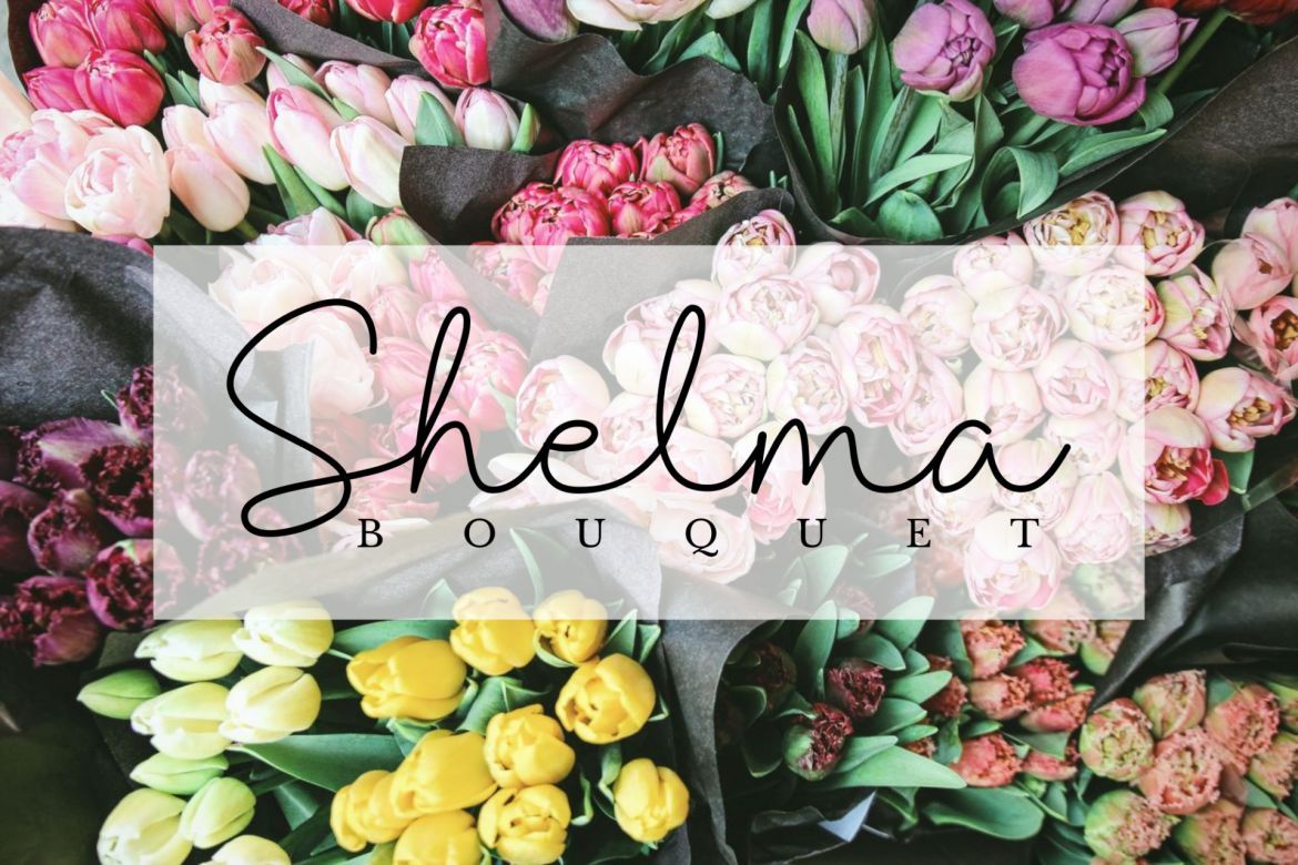 Shantine Script - view 3