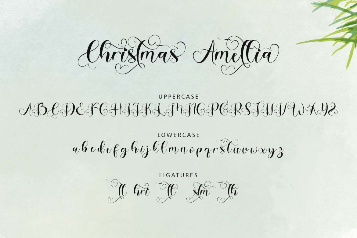Christmas Amellia FREE Script - view 7