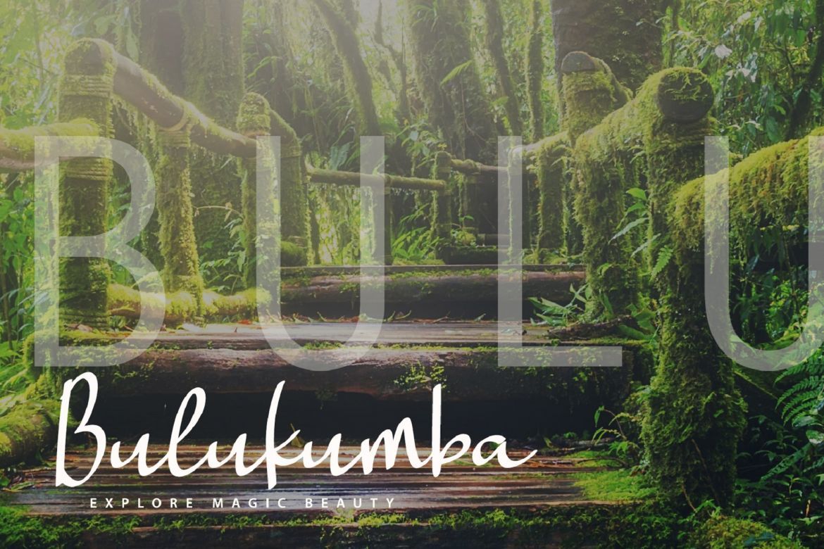 Landing Surely - view 3