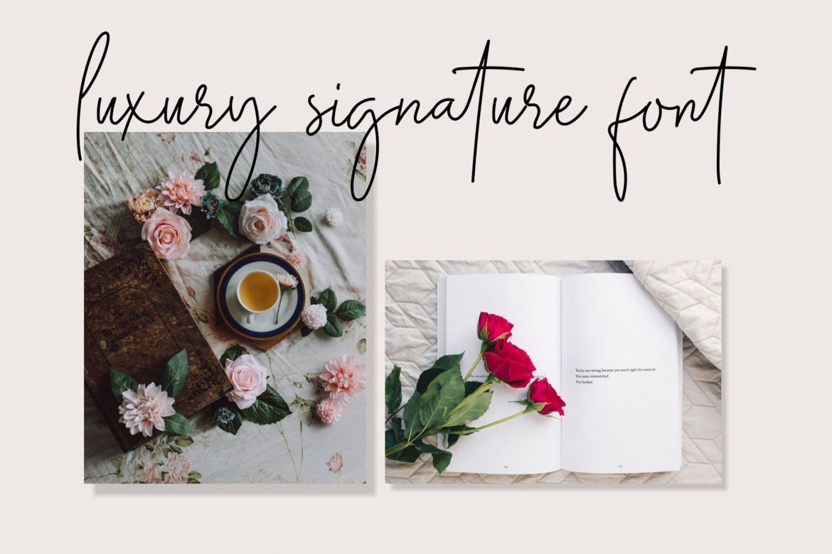 Midnight Signature Font alternate