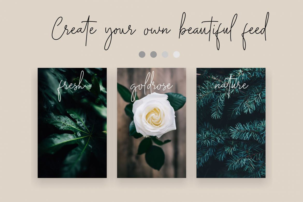 Midnight Signature Font - view 3