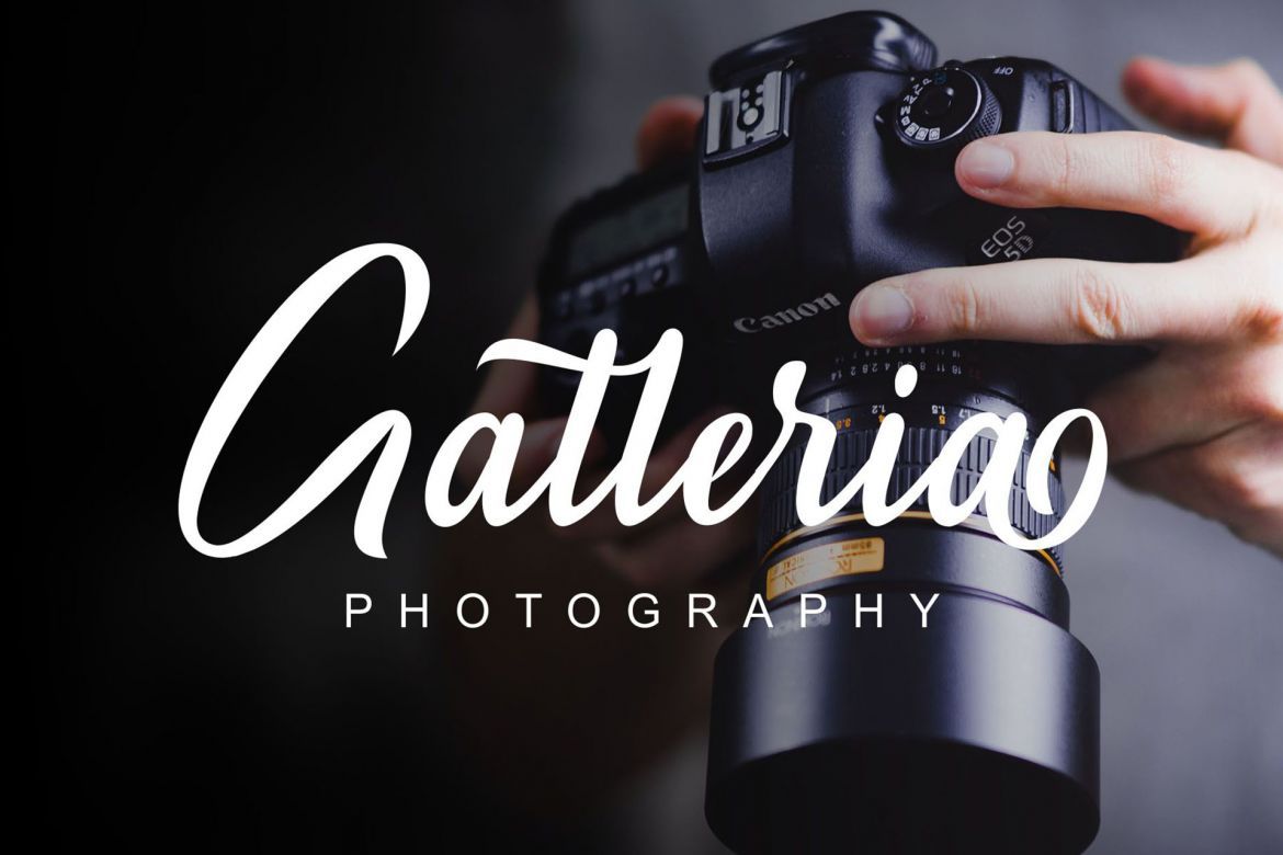 Maryland Script - view 5