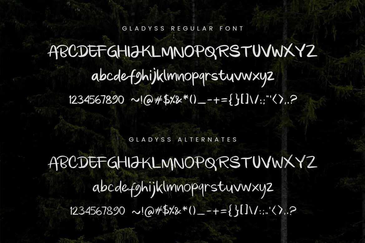 Gladyss Handwritten Font - view 6