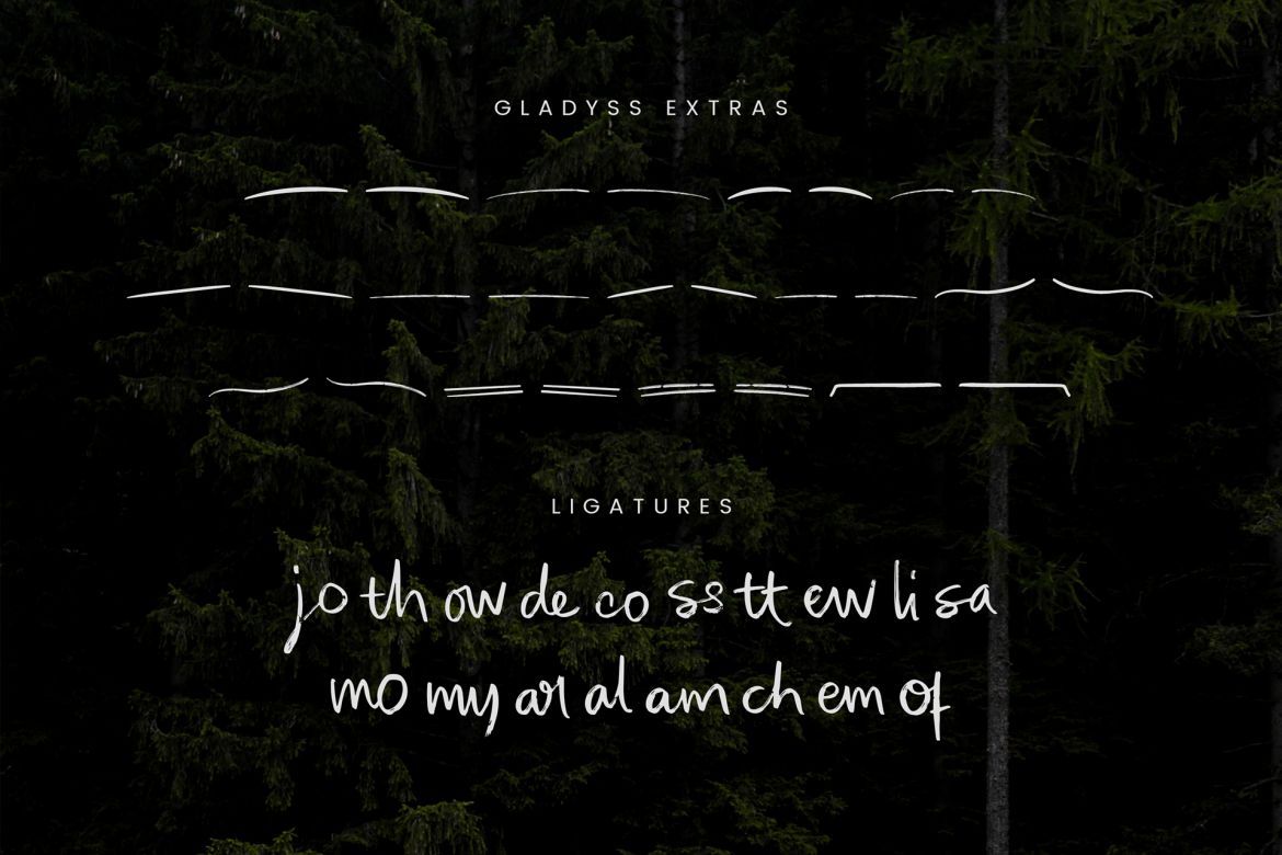 Gladyss Handwritten Font - view 7