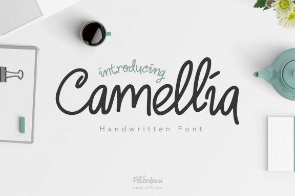 Camellia Handwritten Font - view 5