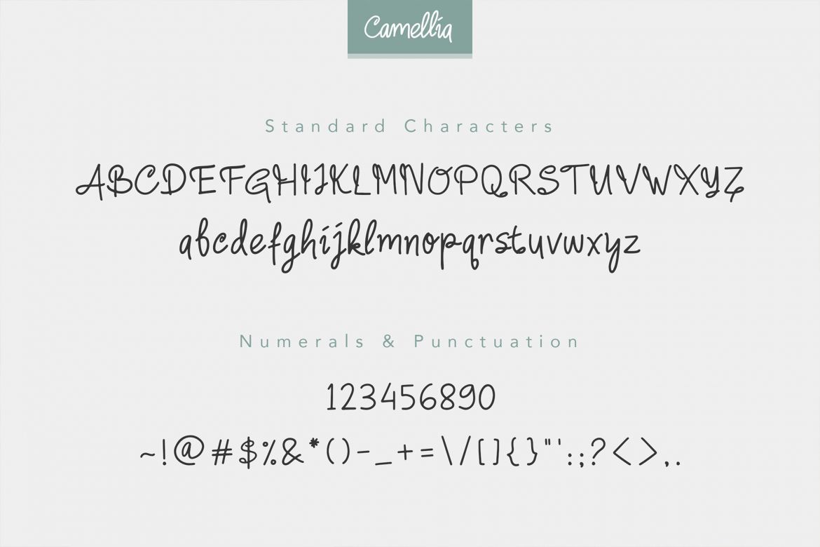 Camellia Handwritten Font - view 3