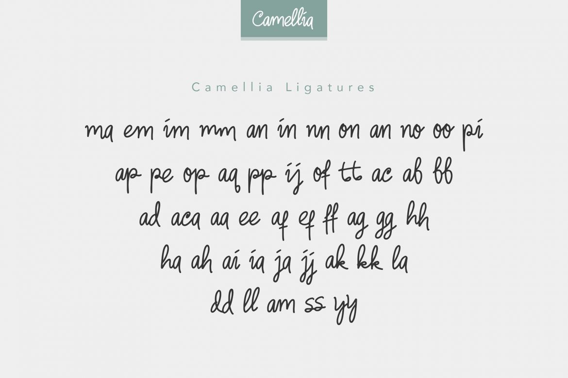 Camellia Handwritten Font - view 4