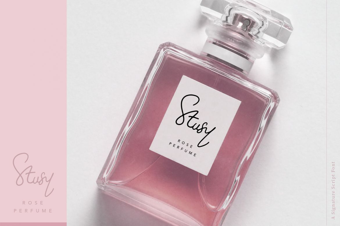 Molita Signature Font - view 9