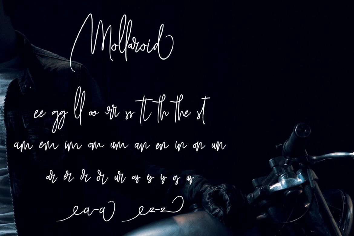 Mollaroid - Signature Font alternate