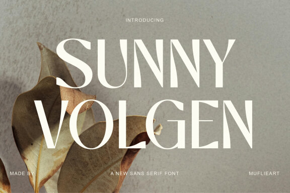 Sunny Volgen A New FREE Sans Serif