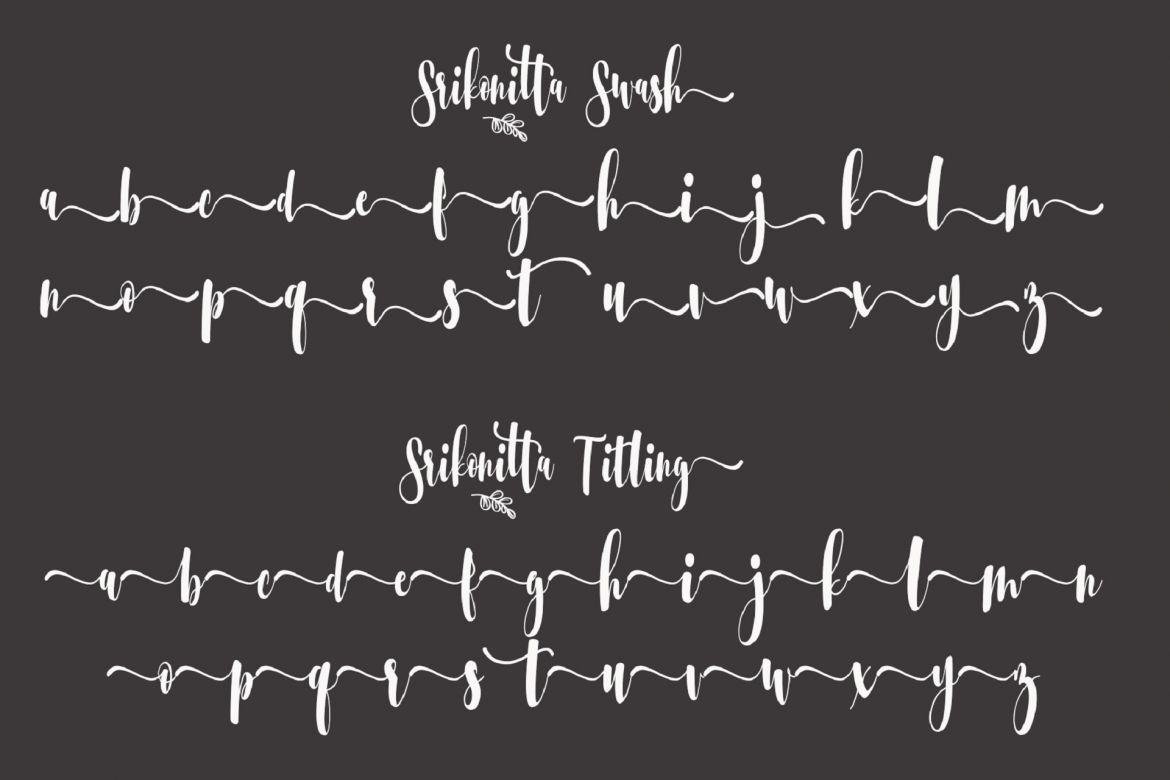 Srikonitta + Free Vectors - view 11