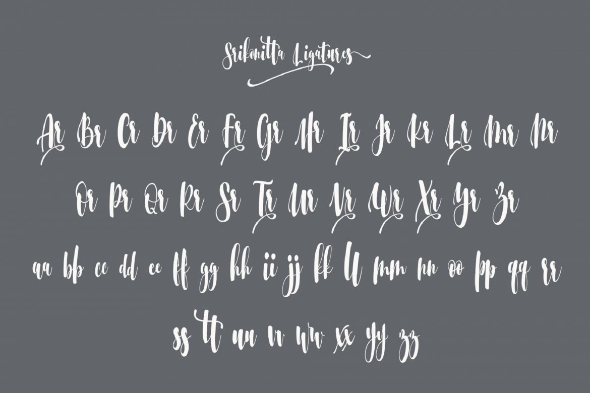 Srikonitta + Free Vectors - view 12