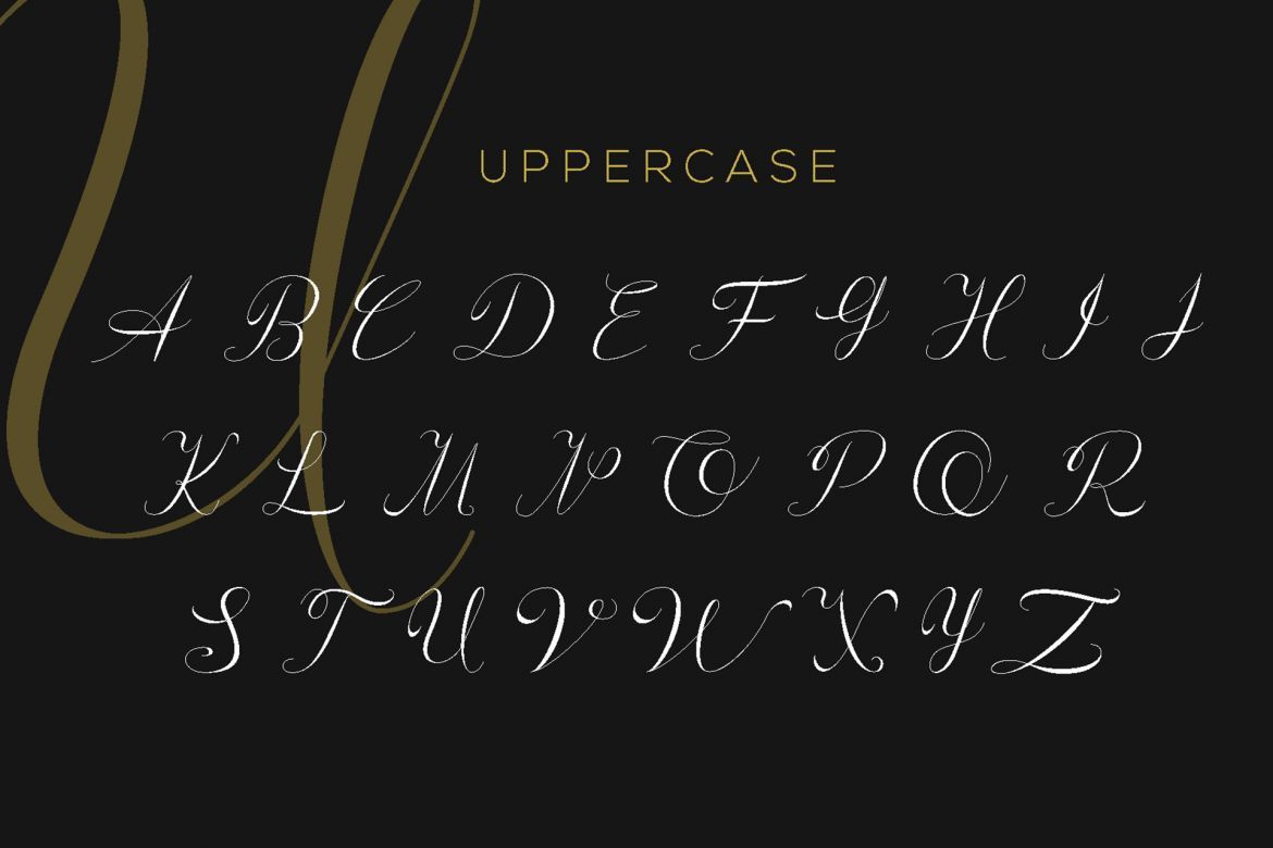 Athenia Script - view 6