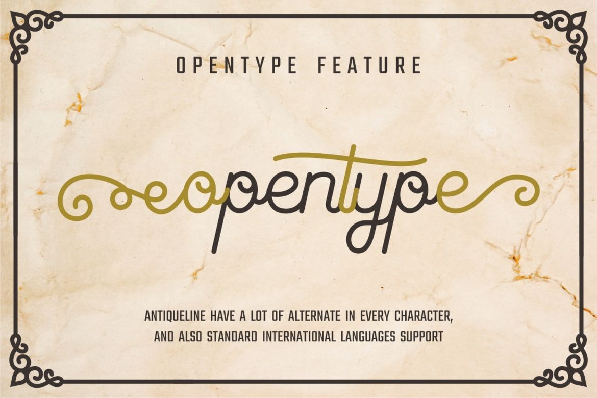 Antiqueline Script - view 4